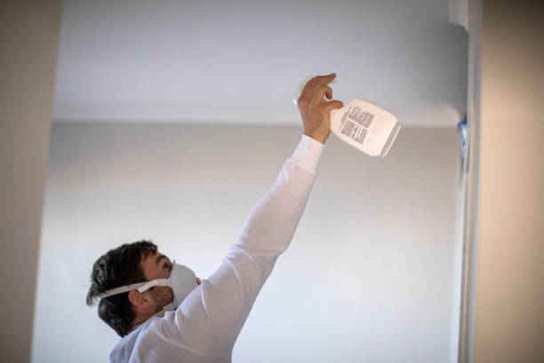 Best Mold Testing  in Moss Point, MS