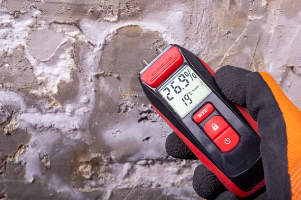 Office Mold Removal Services in Moss Point, MS