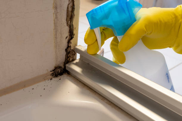 Best Residential Mold Removal  in Moss Point, MS