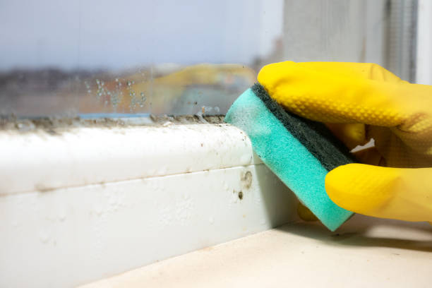Water Damage Restoration in Moss Point, MS