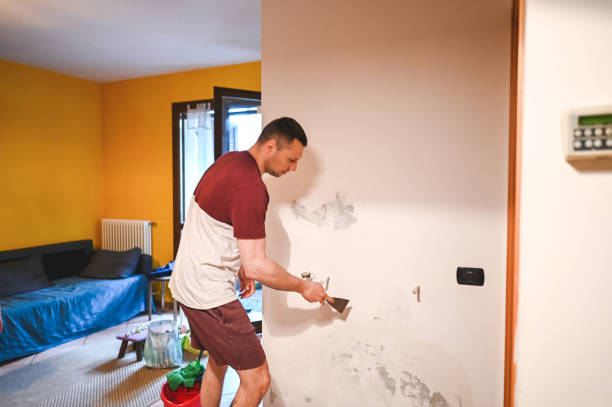 Best Office Mold Removal Services  in Moss Point, MS
